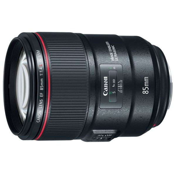 Canon EF 85mm f 1.4L IS USM Lens with 256GB Memory Card Starter Package For Cheap